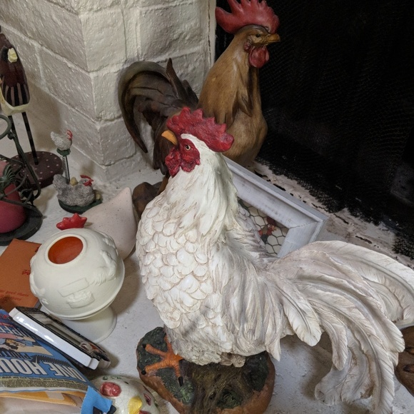 Chickens - Picture 7 of 8